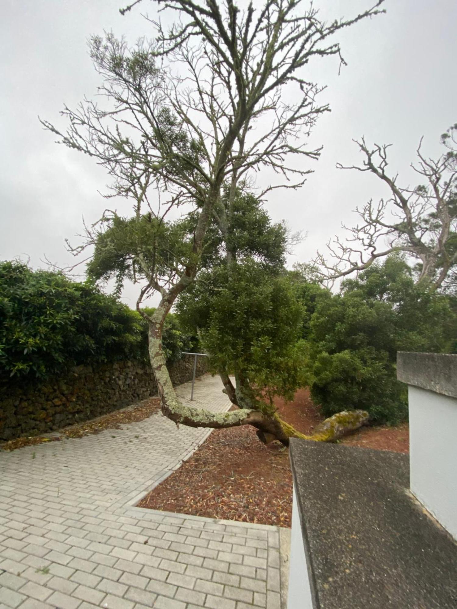 Casa Azul Terceira Island Azores Fonte do Bustardo Экстерьер фото